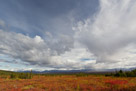 Late afternoon clouds creep in over the fall color tundra.